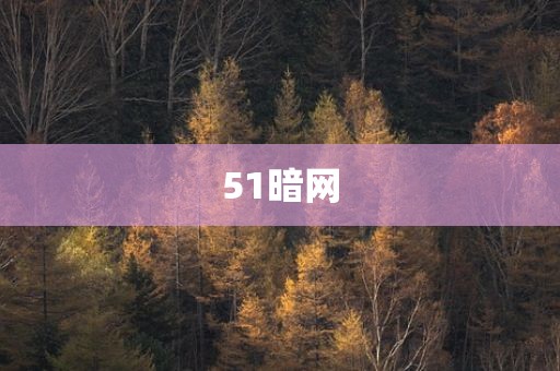 51暗网