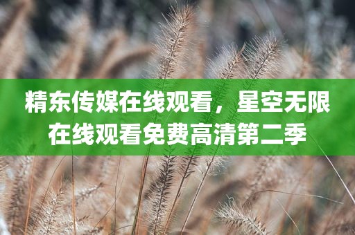 精东传媒在线观看，星空无限在线观看免费高清第二季