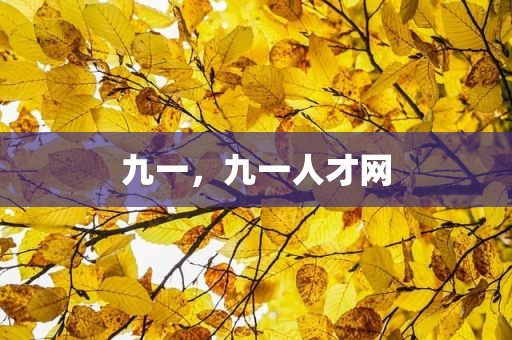九一，九一人才网