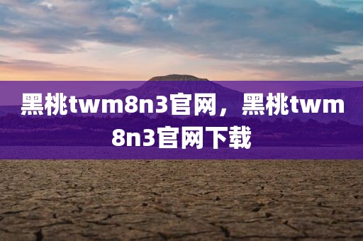 黑桃twm8n3官网，黑桃twm8n3官网下载
