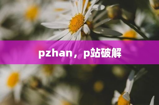 pzhan，p站破解