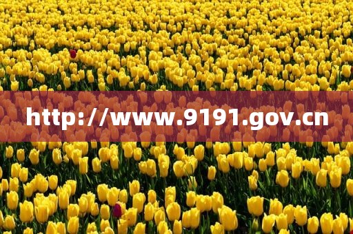 http://www.9191.gov.cn