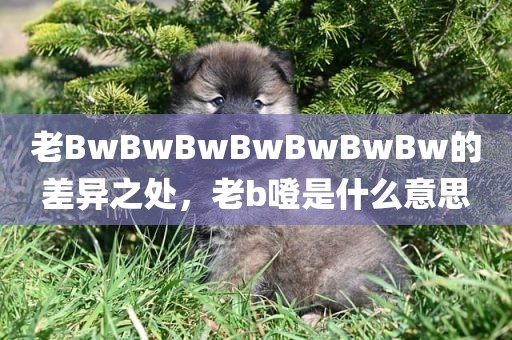 老BwBwBwBwBwBwBw的差异之处，老b噔是什么意思