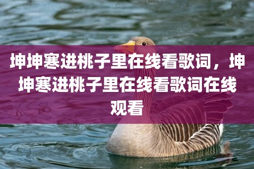 坤坤寒进桃子里在线看歌词，坤坤寒进桃子里在线看歌词在线观看