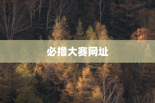 必撸大赛网址