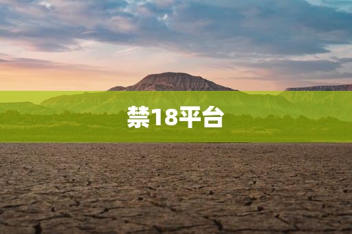 禁18平台