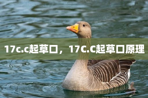 17c.c起草口，17C.C起草口原理