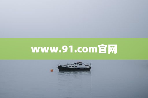 www.91.com官网