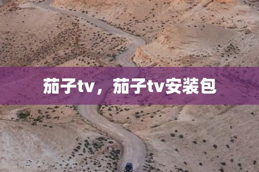 茄子tv，茄子tv安装包