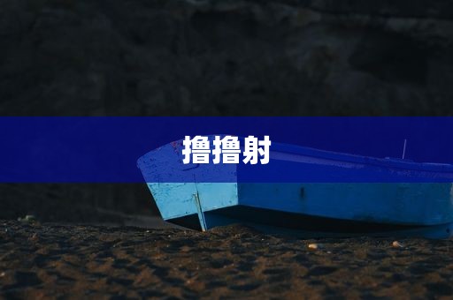 撸撸射
