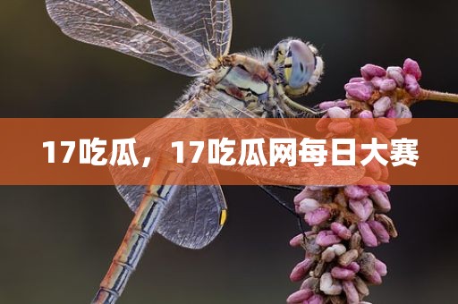 17吃瓜，17吃瓜网每日大赛