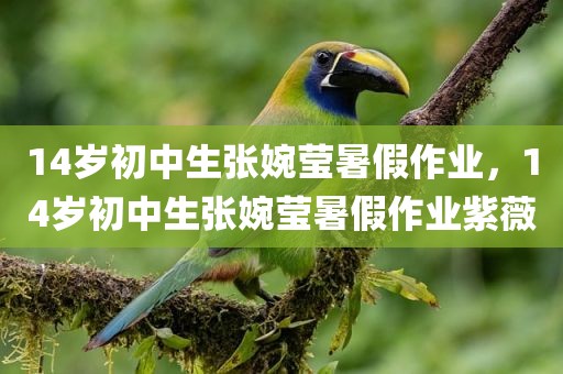 14岁初中生张婉莹暑假作业，14岁初中生张婉莹暑假作业紫薇