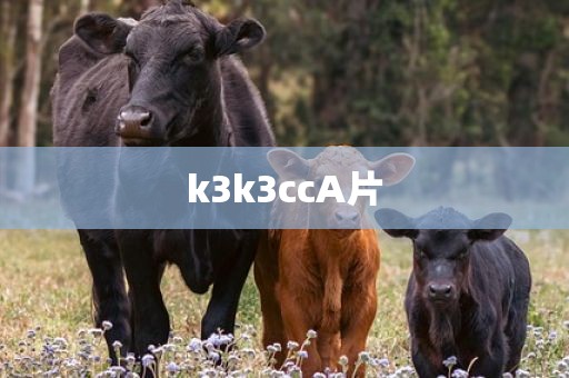 k3k3ccA片