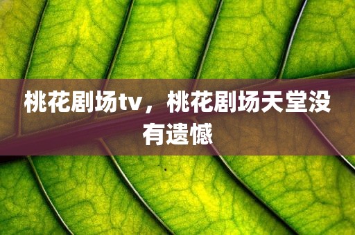 桃花剧场tv，桃花剧场天堂没有遗憾
