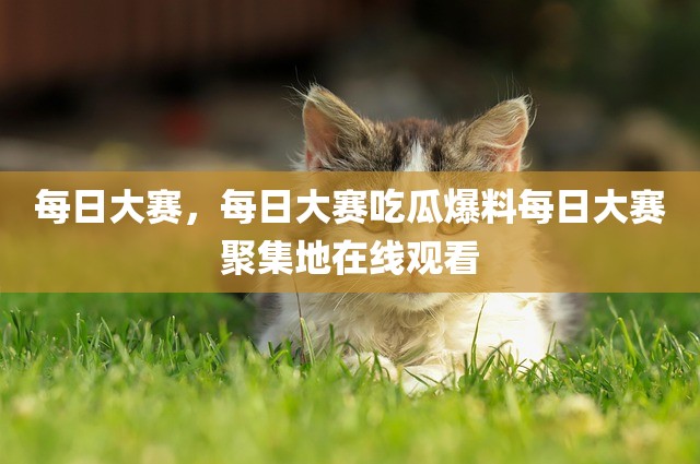 每日大赛，每日大赛吃瓜爆料每日大赛聚集地在线观看