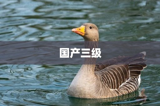 国产三级