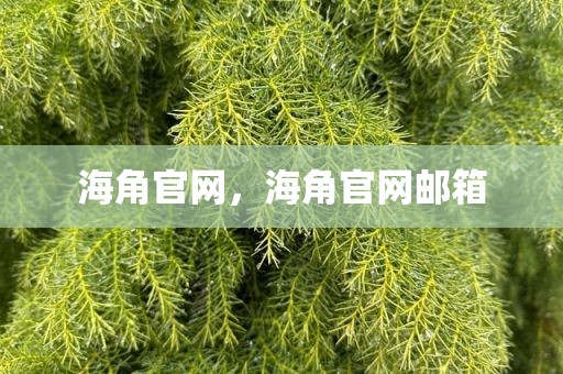 海角官网，海角官网邮箱