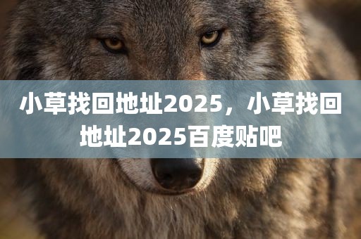 小草找回地址2025，小草找回地址2025百度贴吧