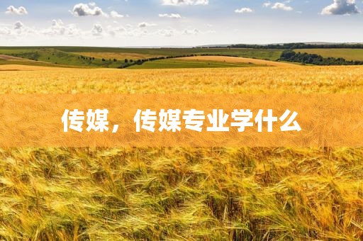 传媒，传媒专业学什么