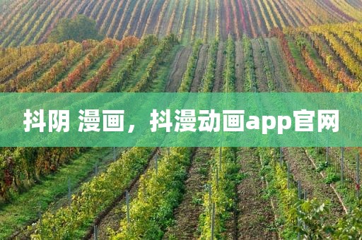 抖阴 漫画，抖漫动画app官网