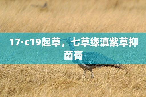 17·c19起草，七草缘滇紫草抑菌膏
