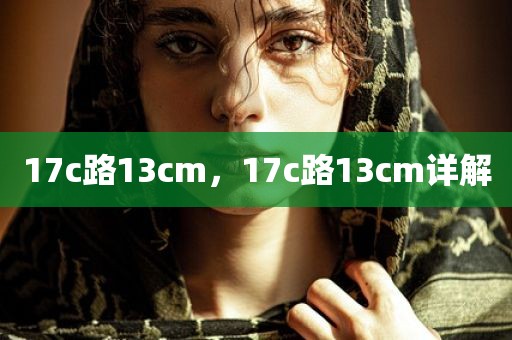 17c路13cm，17c路13cm详解