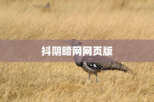抖阴暗网网页版