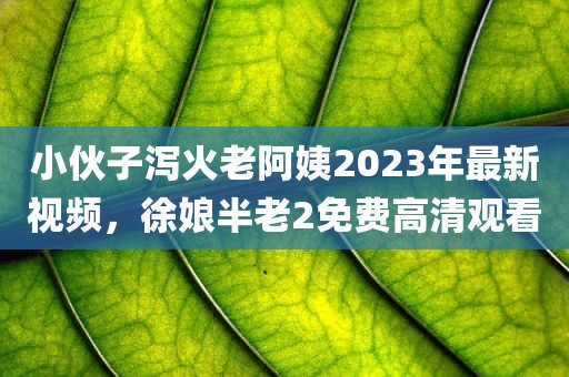 小伙子泻火老阿姨2023年最新视频，徐娘半老2免费高清观看