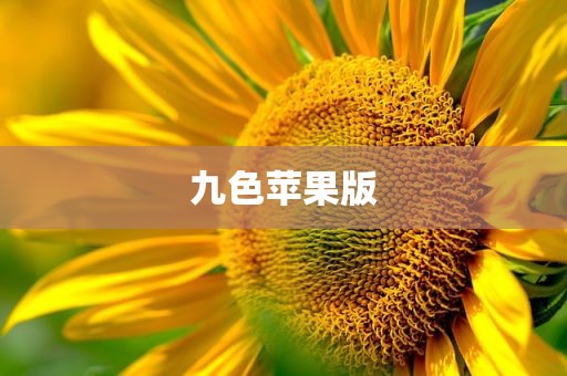 九色苹果版