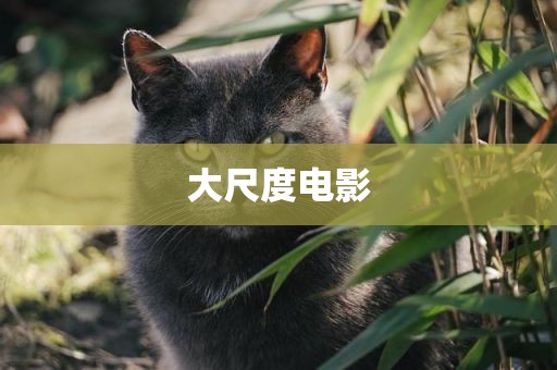 大尺度电影