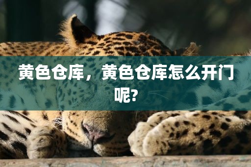 黄色仓库，黄色仓库怎么开门呢?