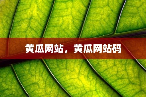 黄瓜网站，黄瓜网站码