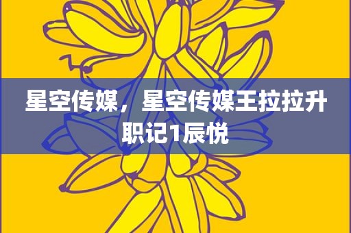 星空传媒，星空传媒王拉拉升职记1辰悦
