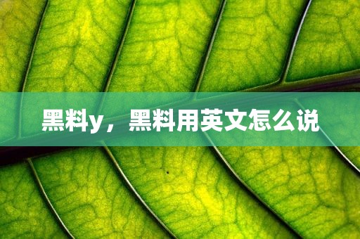 黑料y，黑料用英文怎么说