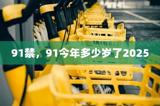 91禁，91今年多少岁了2025