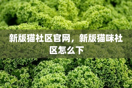 新版猫社区官网，新版猫咪社区怎么下