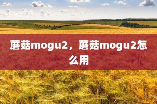 蘑菇mogu2，蘑菇mogu2怎么用