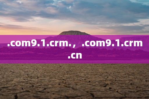 .com9.1.crm.，.com9.1.crm.cn