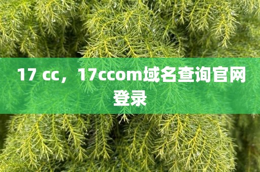 17 cc，17ccom域名查询官网登录