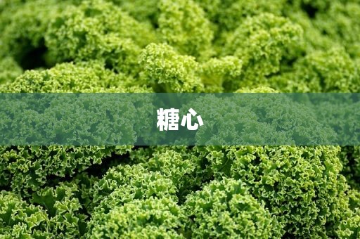 糖心