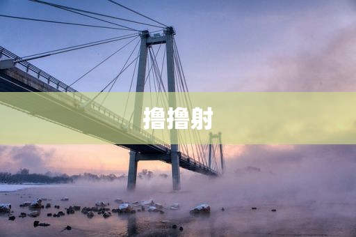 撸撸射