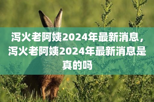 泻火老阿姨2024年最新消息，泻火老阿姨2024年最新消息是真的吗