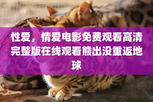 性爱，情爱电影免费观看高清完整版在线观看熊出没重返地球