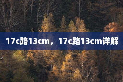 17c路13cm，17c路13cm详解