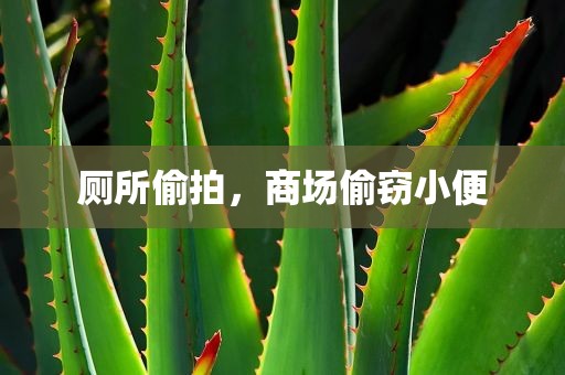 厕所偷拍，商场偷窃小便