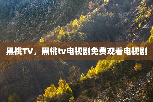 黑桃TV，黑桃tv电视剧免费观看电视剧