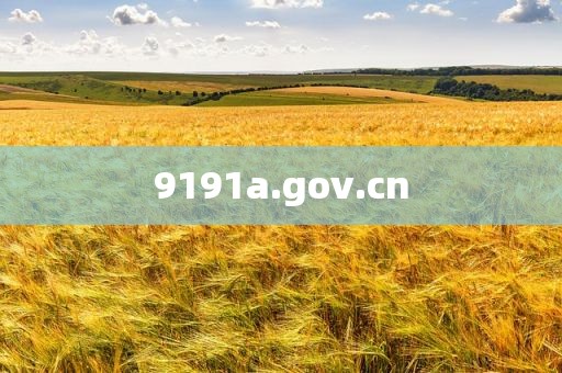 9191a.gov.cn