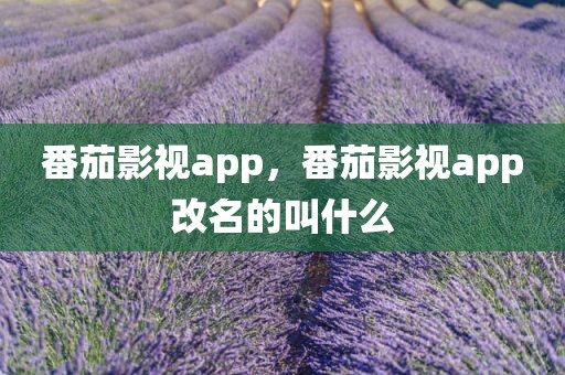 番茄影视app，番茄影视app改名的叫什么