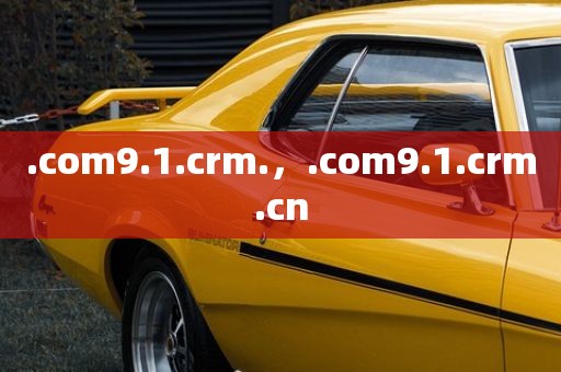 .com9.1.crm.，.com9.1.crm.cn