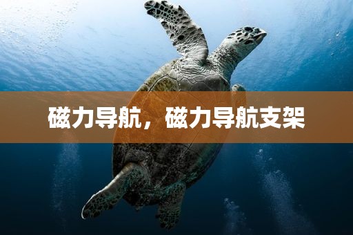 磁力导航，磁力导航支架